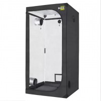 probox basic 40